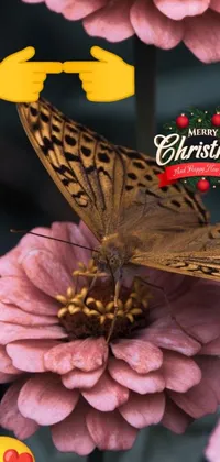Decorate your phone with a lively butterfly live wallpaper