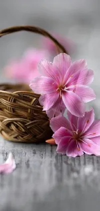 This live wallpaper brings a touch of romance to your phone with a beautiful basket of pink flowers on a wooden table