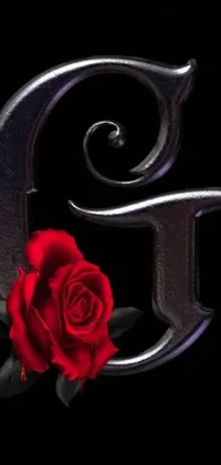 Enhance the aesthetic appeal of your phone screen with this gothic-style live wallpaper featuring a detailed red rose placed on top of a metal letter "e"