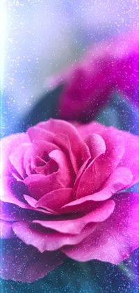 rose 🌹 Live Wallpaper