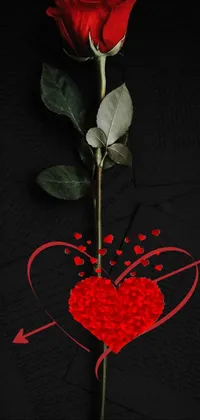 This phone live wallpaper features a stunning red rose set against a black background