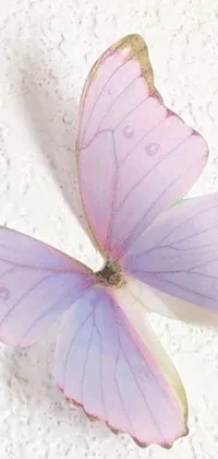 This stunning phone live wallpaper showcases a pair of purple butterflies perched on a pristine white surface