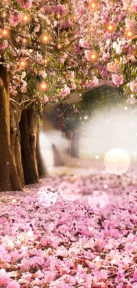 Enhance your mobile device with this stunning live wallpaper featuring a pathway surrounded by trees with beautiful pink flowers