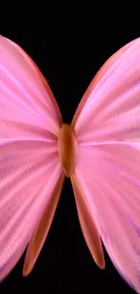 This vibrant phone live wallpaper features a stunningly detailed close up of a pink butterfly on a black background