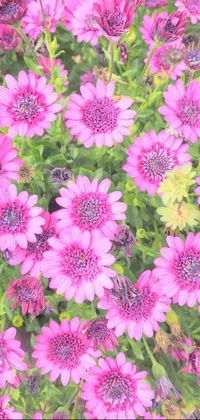 This phone live wallpaper features a stunning close-up image of pink flowers, paired with an AI-generated background bouquet
