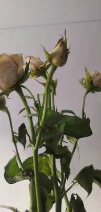 This stunning phone live wallpaper depicts a vintage vase overflowing with beautiful flowers