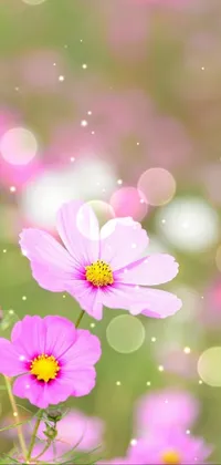 Adorn your phone with a stunning live wallpaper featuring pink flowers on a lush green field