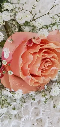 This stunning live wallpaper for your phone depicts a single orange rose surrounded by delicate clusters of baby's breath on a soft, lace tablecloth in a middle close-up shot