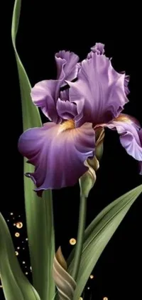 Looking for a captivating live wallpaper that will add a touch of beauty to your phone? Look no further than this stunning image featuring a close-up of violet irises in a vase