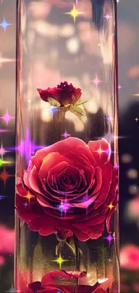 This stunning phone live wallpaper showcases a glass bottle with a single flower inside and a rose portal, perfect for those who love romanticism