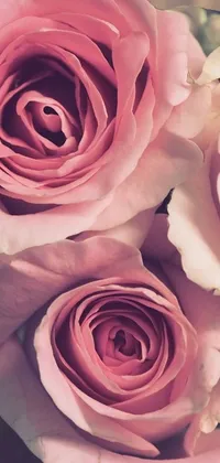 Looking for a beautiful and romantic live wallpaper for your phone? Look no further than this stunning design featuring a vase of pink roses on a wooden table! With intricate details and warm, soft shading, this wallpaper is sure to bring a feeling of intimacy and nostalgia to your device