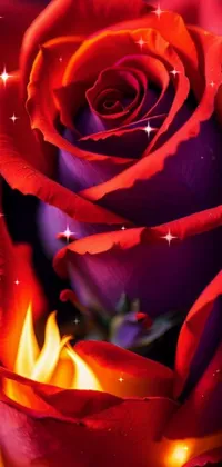 RGB  Live Wallpaper