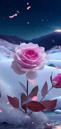 This pink rose live wallpaper features a serene snowy landscape with a delicate rose in the foreground