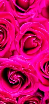 roses Live Wallpaper