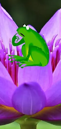 froggy Live Wallpaper