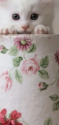 Flower Plant Pink Live Wallpaper