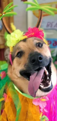 Looking for a lively and joyful way to set your phone's wallpaper? Look no further than this tiki dog live wallpaper! The wallpaper shows a close-up of a furry friend wearing an eye-catching tiki costume, complete with every detail in view