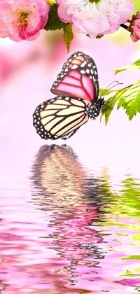 This phone live wallpaper features a beautiful pink and anime nature scene with a close-up view of a delicate butterfly in flight over a serene body of water