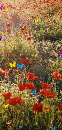 This live phone wallpaper showcases a beautiful field with vibrant red and yellow flowers