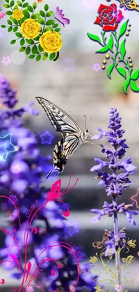 butterfly with flower Live Wallpaper