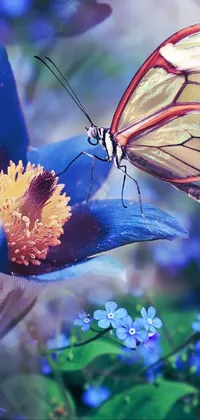 astronomical butterfly  Live Wallpaper