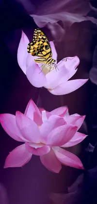 This exquisite live wallpaper features a serene scene of a butterfly perched gracefully on a delicate pink bloom, surrounded by stunning lotus flowers