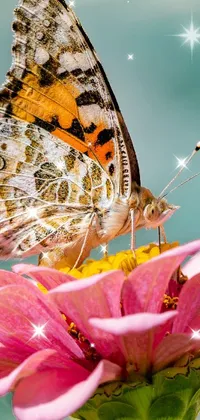 Butterfly  Live Wallpaper