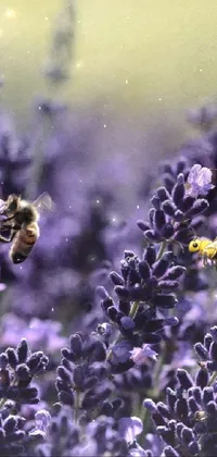 This phone live wallpaper displays a detailed macro photograph of two bees on a field of purple flowers