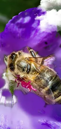 3D bee Live Wallpaper