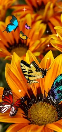 This lively live wallpaper is perfect for your phone, featuring a splendid arrangement of yellow flowers adorned with delightful blue butterflies