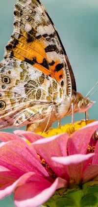 This phone live wallpaper shows a stunning butterfly sitting on a beautiful pink flower