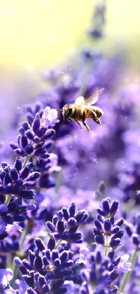 flowers and bees  Live Wallpaper