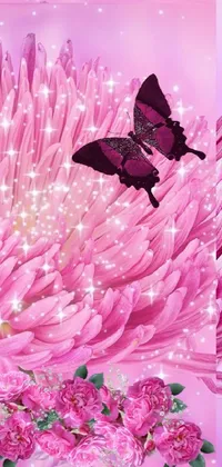 Pink Flower  Live Wallpaper