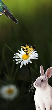 Flower Plant Pollinator Live Wallpaper