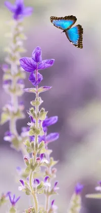 Flower Plant Pollinator Live Wallpaper