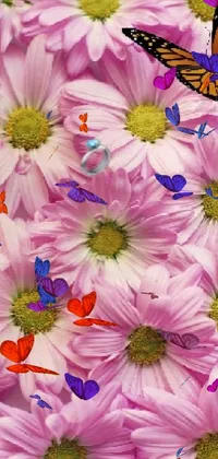 pink flowers with butterfly  Live Wallpaper
