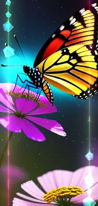  butterfly Live Wallpaper