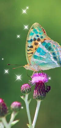 Flower Plant Pollinator Live Wallpaper