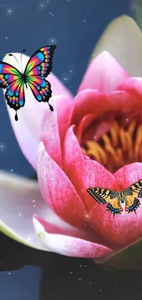 flower pod Live Wallpaper