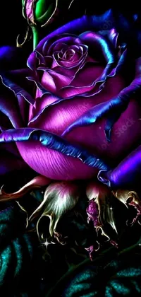 This phone live wallpaper is a masterpiece of digital art, featuring a strikingly beautiful purple rose on a black background
