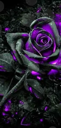 This live wallpaper features a beautifully rendered purple rose standing out against a vibrant green field, set on a striking black background
