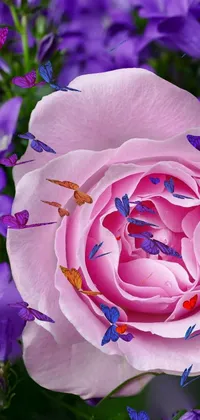 This live phone wallpaper showcases a stunning close-up of a pink rose in the company of purple flowers such as shutterstock and salvia