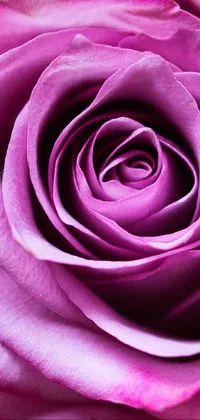 This phone live wallpaper features a stunning macro photograph of a pink rose in a vase