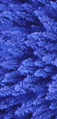 Experience the winter magic on your phone with our frost-covered tree live wallpaper! With a close-up view of fir trees blanketed in snow, this microscopic-like photo in blue-purple hues takes inspiration from nature and video art
