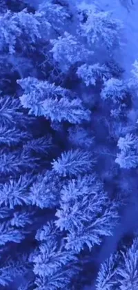 Experience the breathtaking beauty of winter with this phone live wallpaper