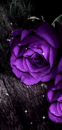 This phone live wallpaper showcases two vivid and elegant purple roses on a wooden table