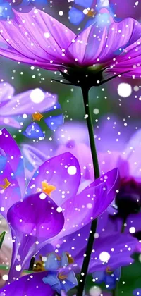 This live wallpaper features a bunch of purple flowers on a lush green field, digitally designed by process artist Igor Zenin