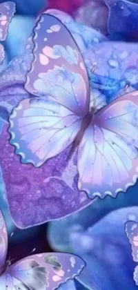 Looking for a stunning live wallpaper for your phone? Look no further than this beautiful digital art display featuring a group of butterflies resting on top of a purple flower