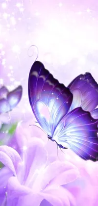 mariposa violeta Live Wallpaper