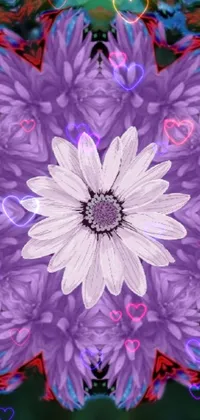 This live wallpaper features a captivating digital art representation of a close-up view of a purple flower with repeating daisy-like petals in a kaleidoscope style